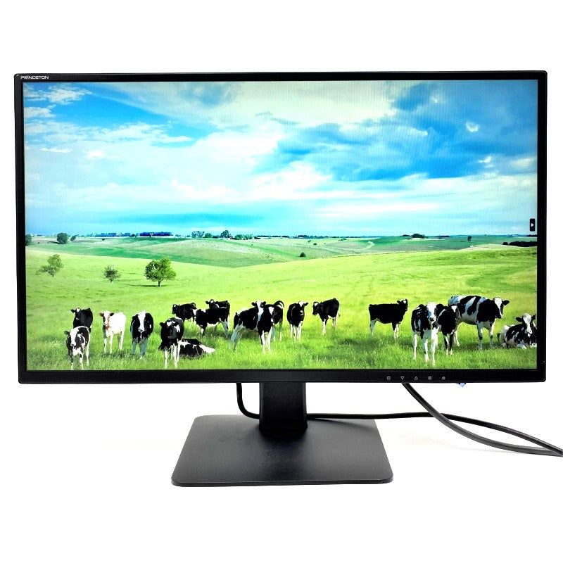 【中古モニター】23.8インチ メーカー PRINCETON 型番 PTFBLT-24W 入力端子 DVI D-Sub HDMI 解像度  1920x1080 中古 液晶 モニター PC ディスプレイ