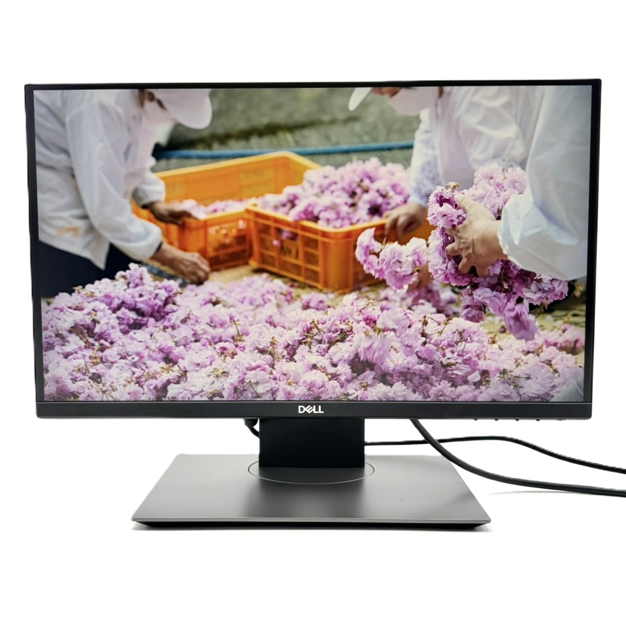 中古モニター】21.5インチ メーカー DELL 型番 P2219H Dell Micro All