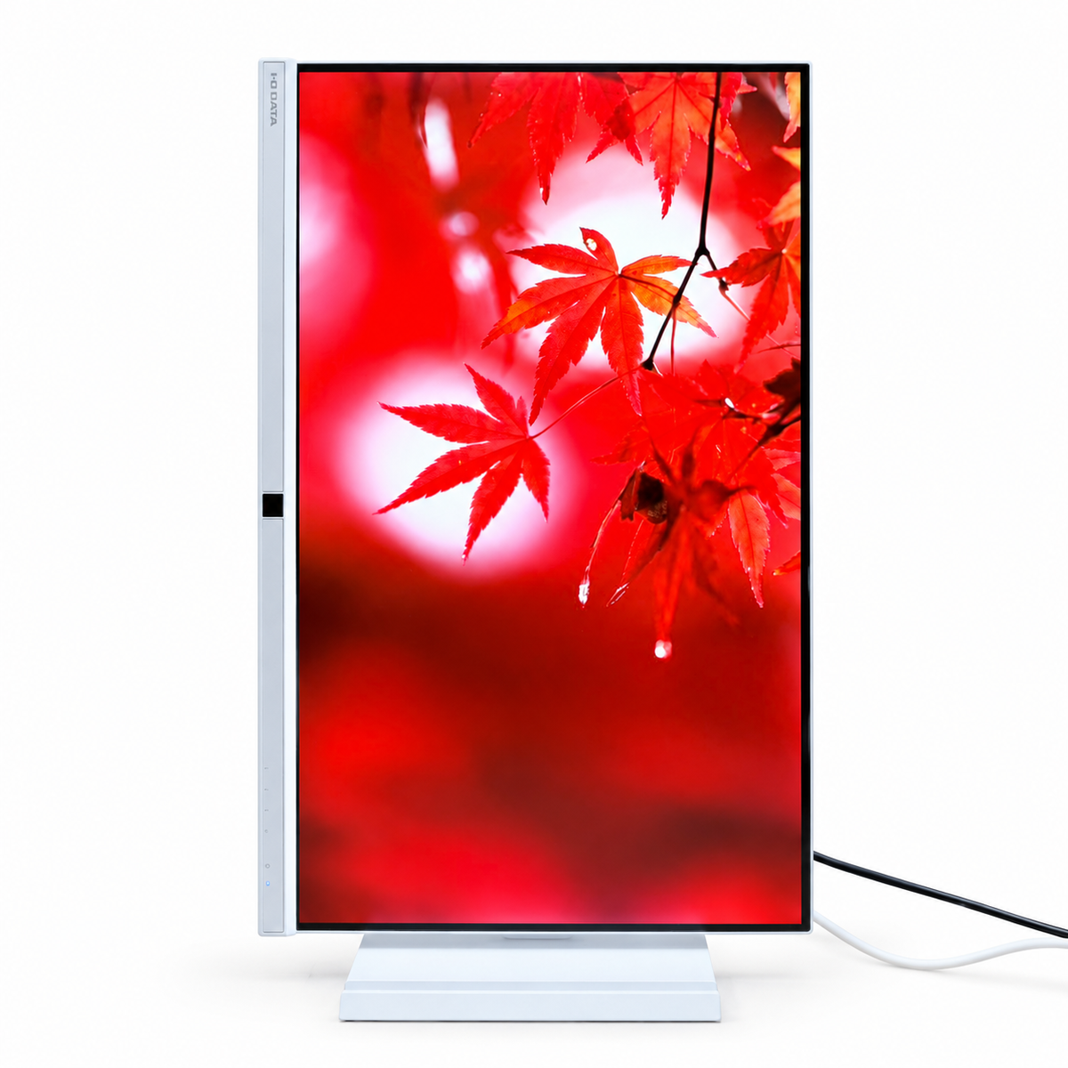 【中古モニター】27インチ メーカー I-ODATA 型番 LCD-BCQ271DW-F 入力端子 HDMI Displayport USBType-C 解像度 2560x1440 Aランク 中古 液晶 モニター PC ディスプレイ