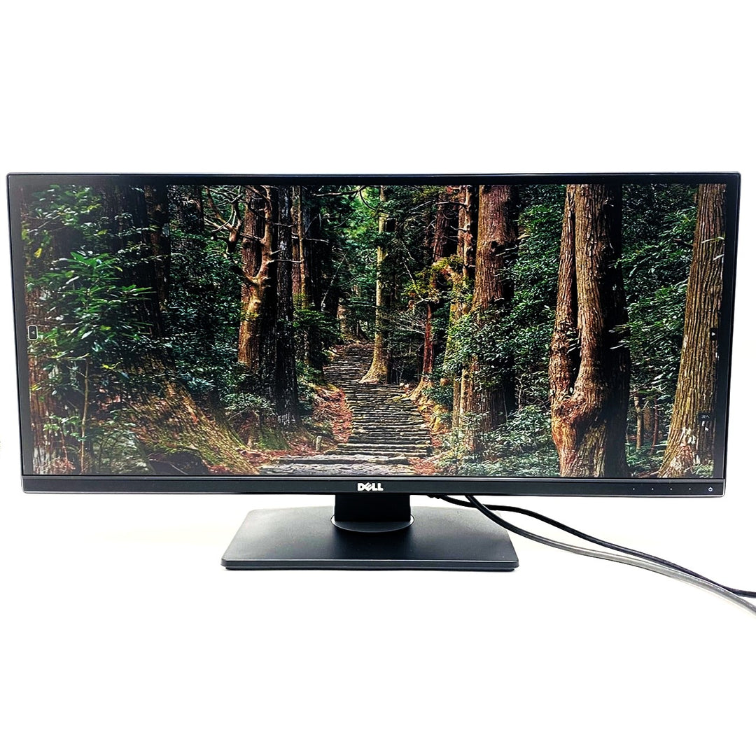 中古モニター】29インチ メーカー DELL 型番 U2913WM 入力端子 HDMI D 