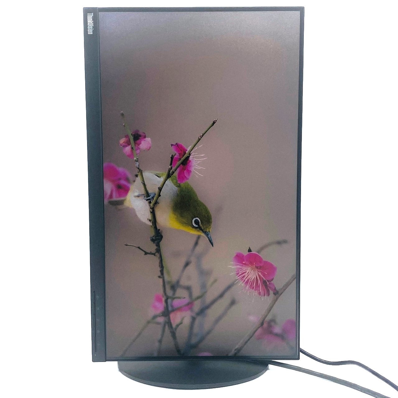 【中古モニター】23.8インチ メーカー Lenovo 型番 61CE-MAR2-WW 入力端子 HDMI D-Sub Displayport 解像度 1920x1080 Aランク 中古 液晶 モニター PC ディスプレイ