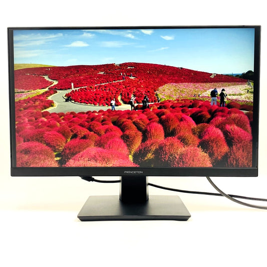 【中古モニター】23.8インチ メーカー PRINCETON 型番 PTFBFE-24W 入力端子 HDMI D-Sub DVI DisplayPort 解像度 1920x1080 Bランク 中古 液晶 モニター PC ディスプレイ