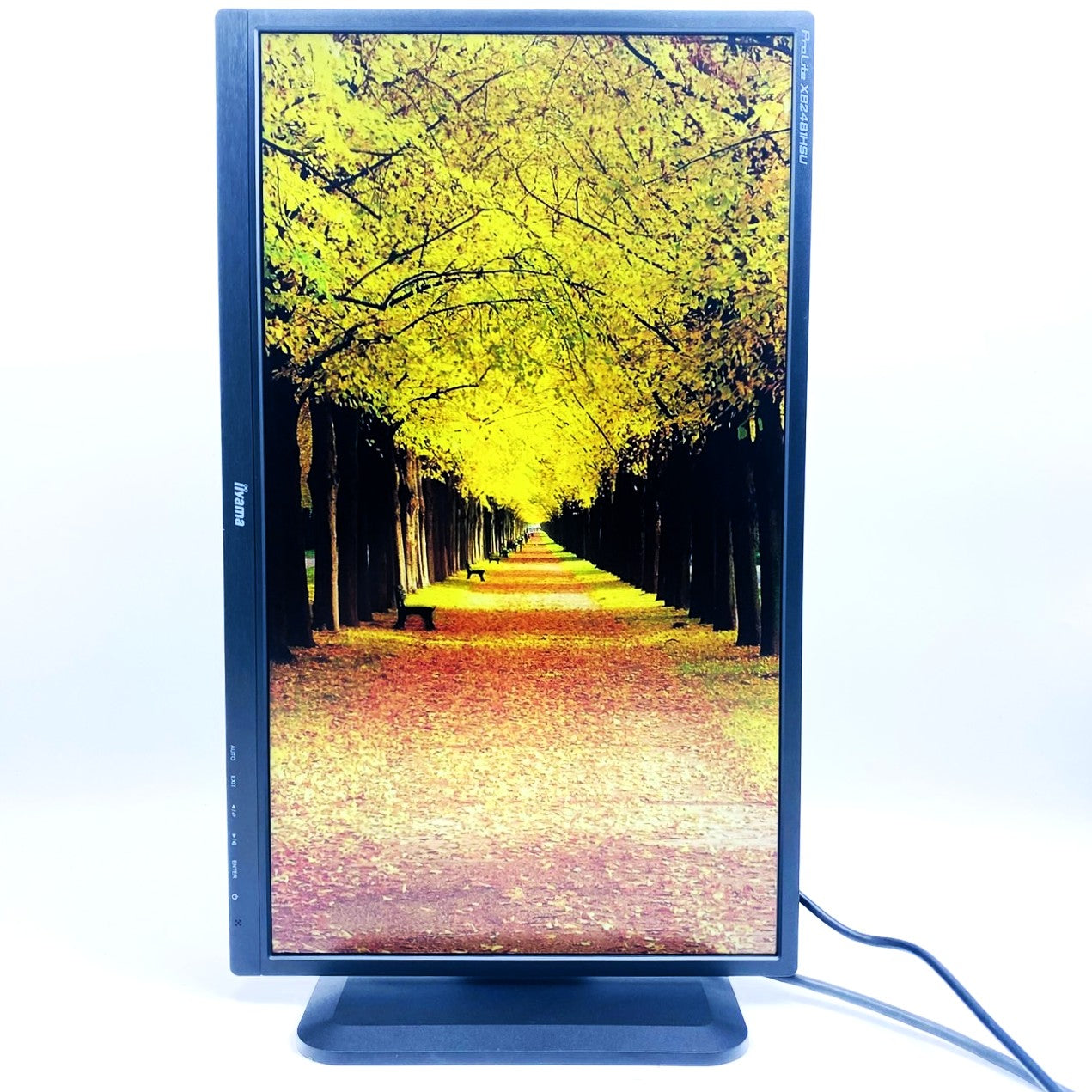 【中古モニター】23.8インチ メーカー iiyama 型番 XB2481HSU-B1 入力端子 HDMI D-Sub DVI 解像度 1920x1080 Aランク 中古 液晶 モニター PC ディスプレイ