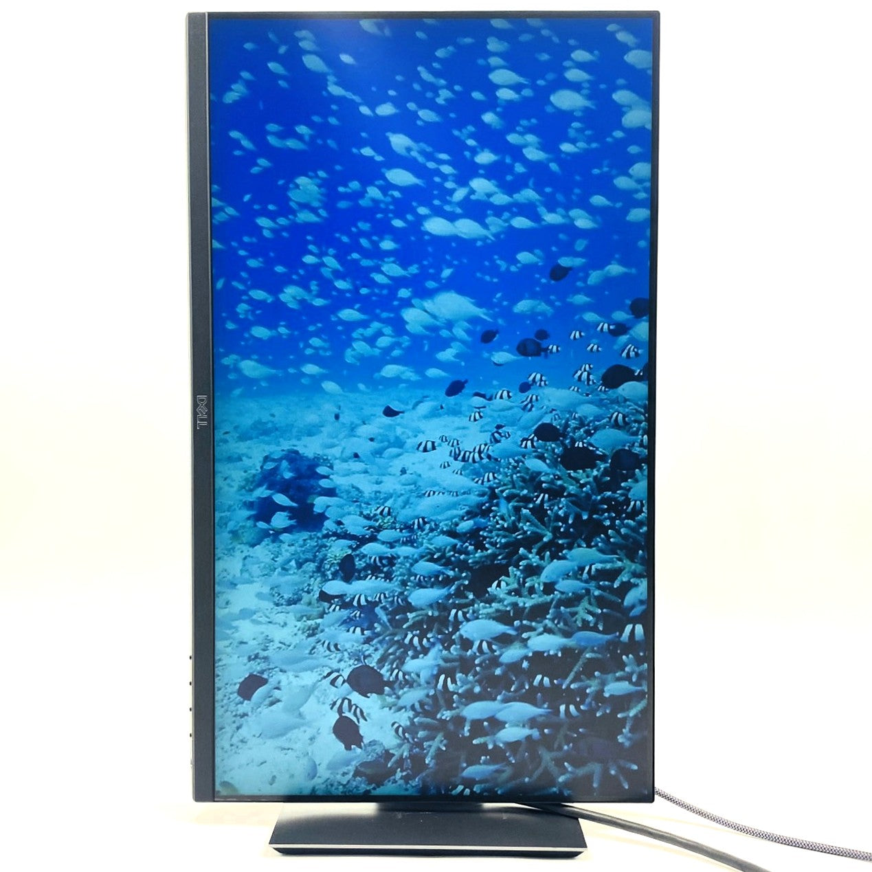 【中古モニター】23.8インチ メーカー DELL 型番 P2419HC 入力端子 HDMI DisplayPort USB Type-C 解像度 1920x1080 Cランク 中古 液晶 モニター PC ディスプレイ