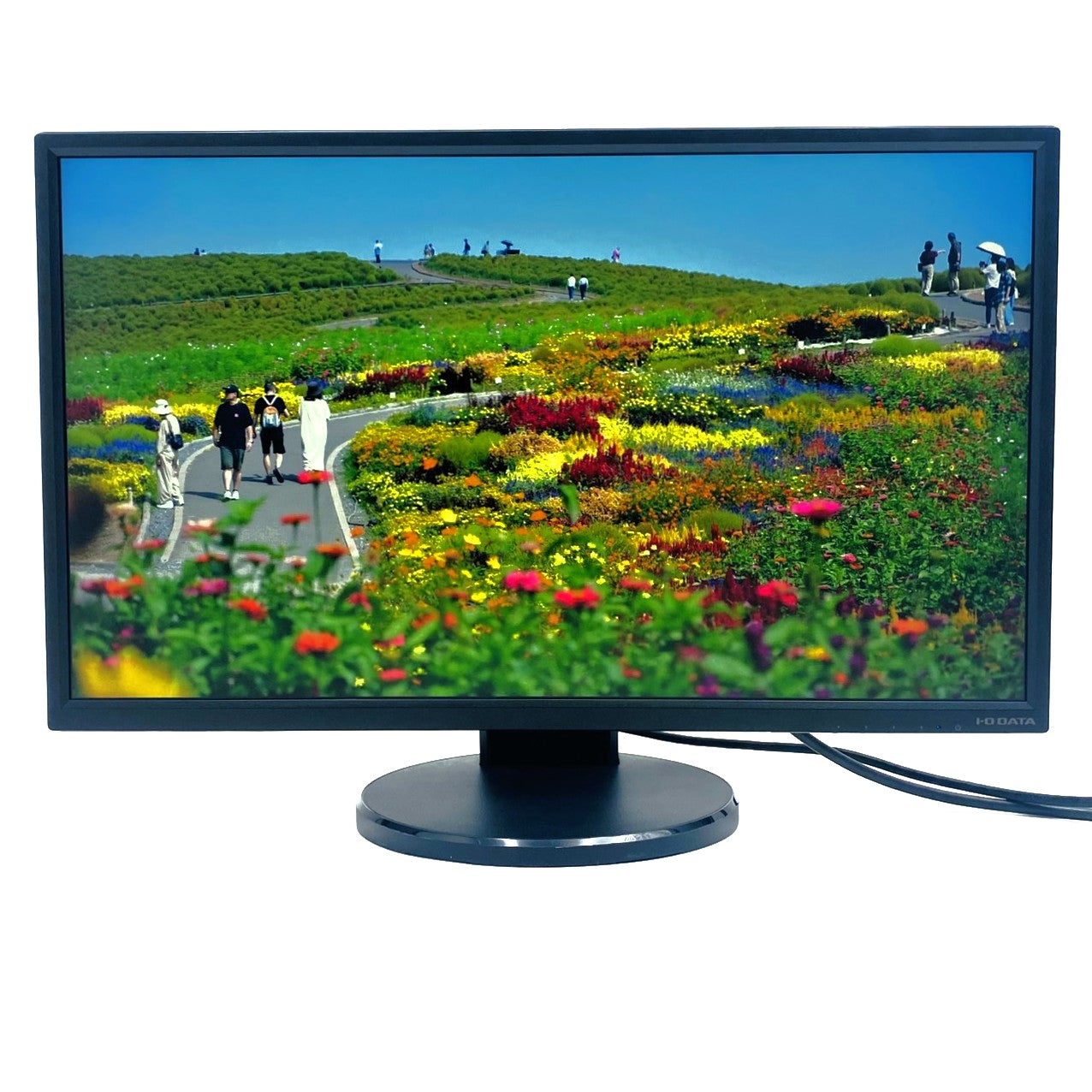 【中古モニター】23.8インチ メーカー I-ODATA 型番 LCD-MF245EDB-F 入力端子 HDMI D-Sub DVI 解像度 1920x1080 Bランク 中古 液晶 モニター PC ディスプレイ