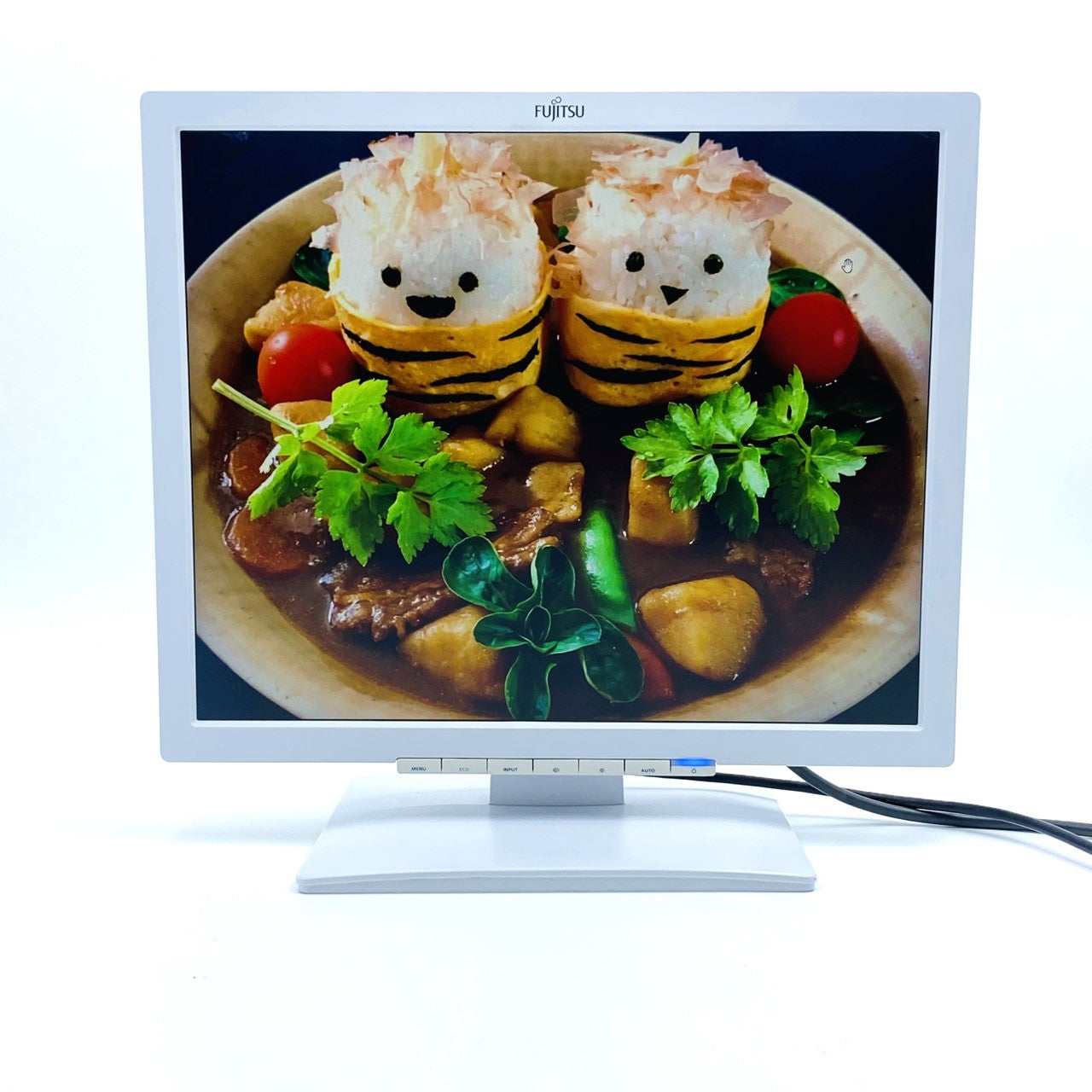 【中古モニター】19インチ メーカー FUJITSU 型番  VL-E19-7 入力端子 D-Sub DVI 解像度 1280x1024 Cランク 中古 液晶 モニター PC ディスプレイ