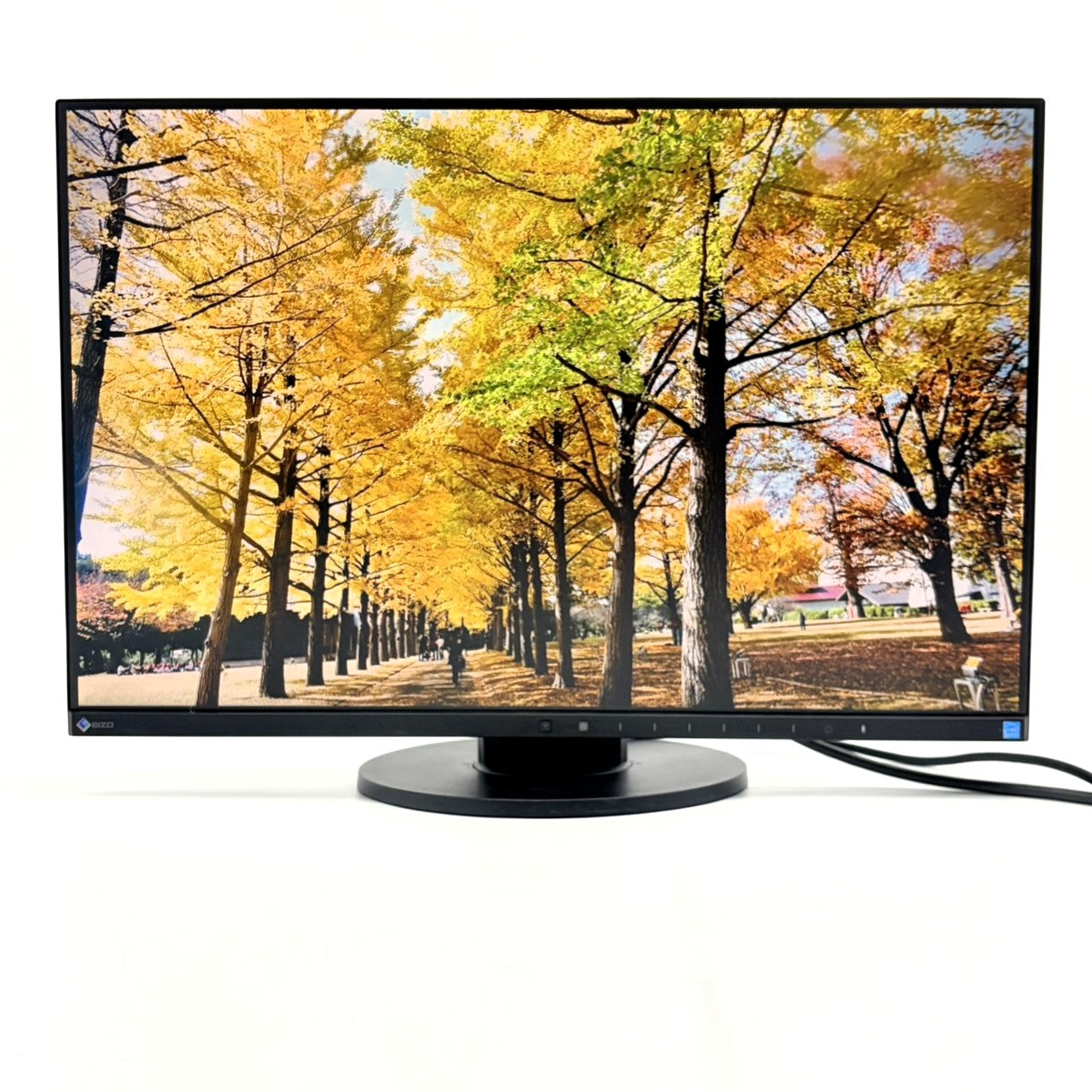 【中古モニター】24.1インチ メーカー EIZO 型番 EV2455 入力端子 HDMI D-Sub DVI DisplayPort 解像度 1920x1200 Aランク 中古 液晶 モニター PC ディスプレイ