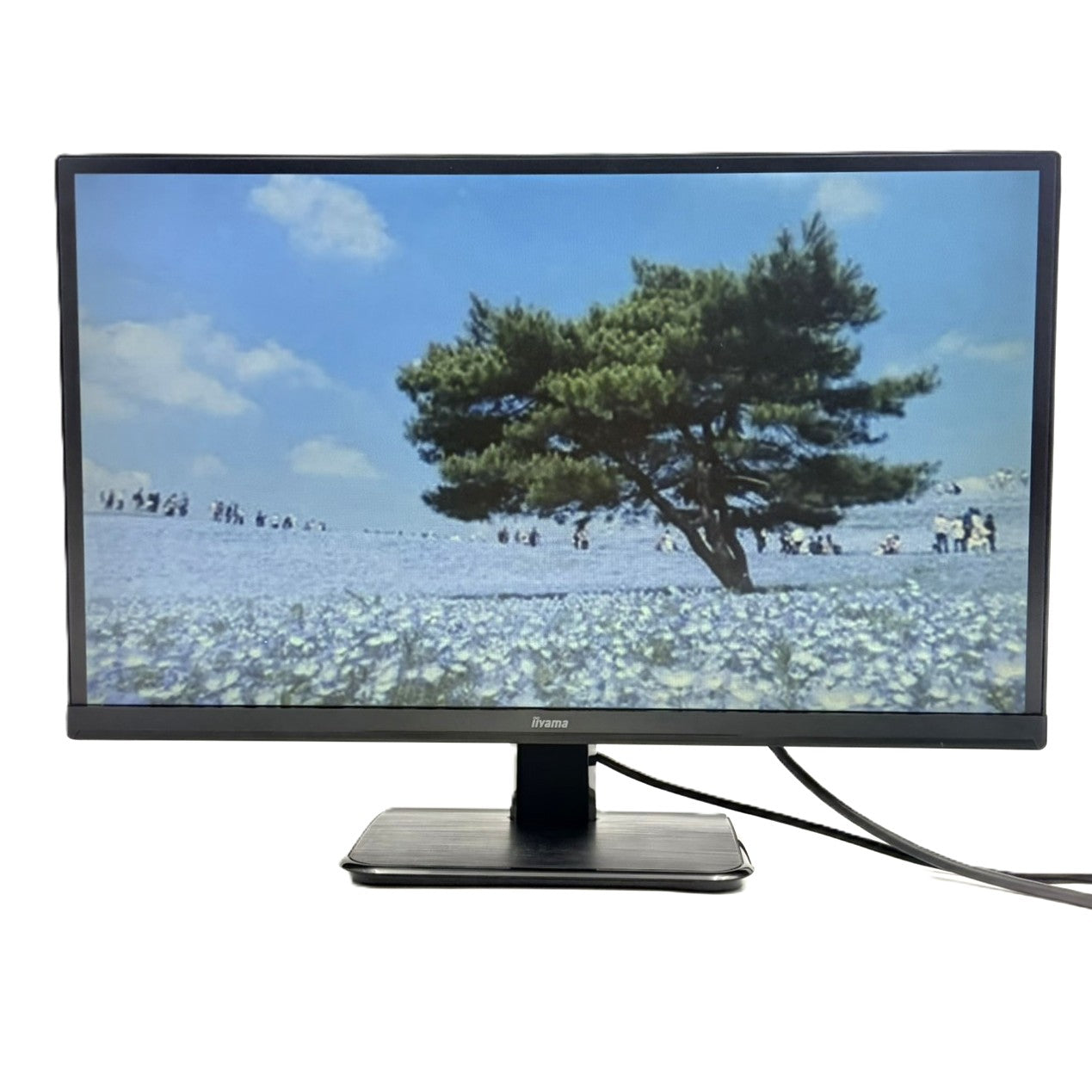 【中古モニター】23インチ メーカー iiyama 型番 XU2390HS-B3 入力端子 HDMI D-Sub DVI 解像度 1920x1080 Bランク 中古 液晶 モニター PC ディスプレイ