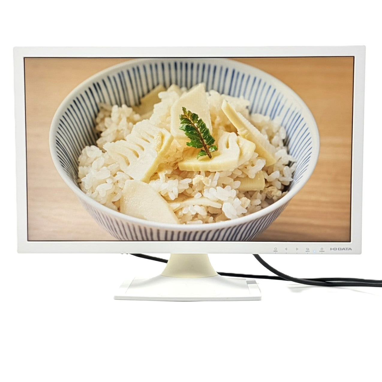 中古モニター】20.7インチ メーカー I-ODATA 型番 LCD-MF211ESW 入力