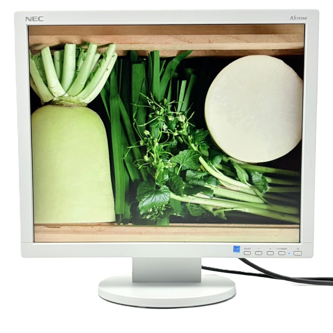 中古モニター】19インチ メーカー NEC 型番 LCD-AS193MI 入力端子 D