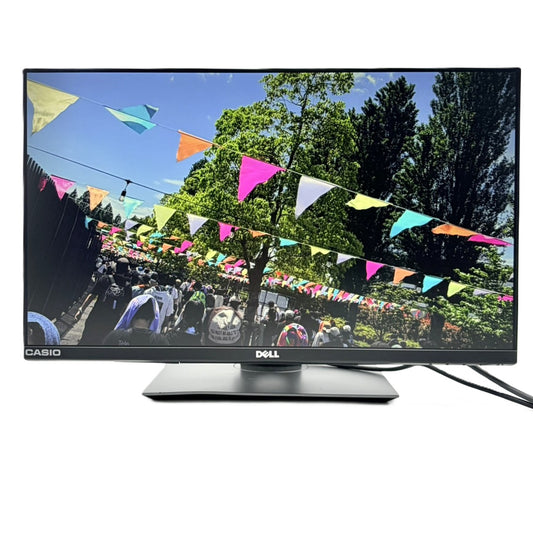 【中古モニター】23.8インチ メーカー DELL 型番 P2418HT 入力端子 HDMI D-Sub DisplayPort 解像度 1920x1200 Bランク 中古 液晶 モニター PC ディスプレイ