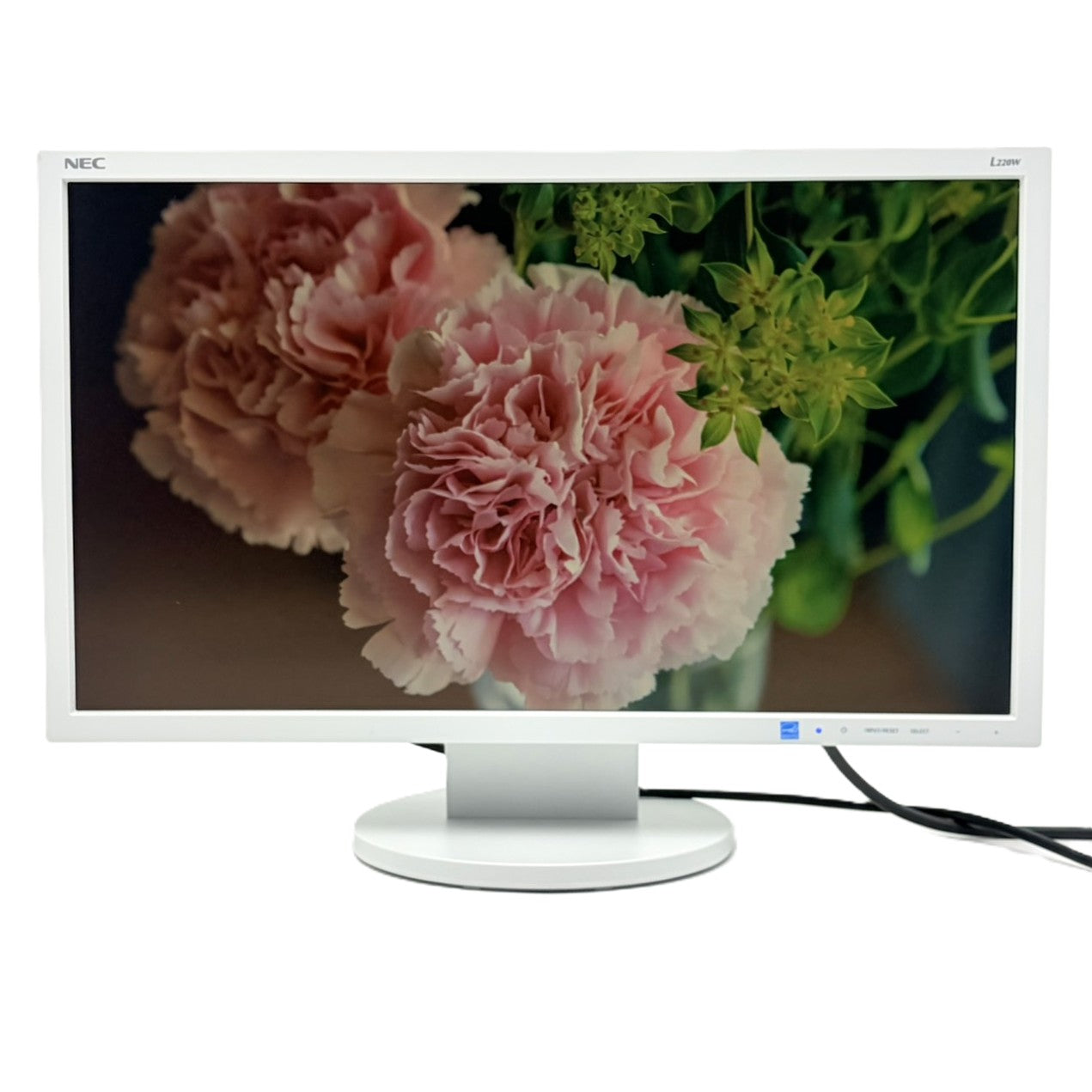 【中古モニター】21.5インチ メーカー NEC 型番 LCD-L220W 入力端子 D-Sub DVI 解像度 1920x1080 Aランク 中古 液晶 モニター PC ディスプレイ
