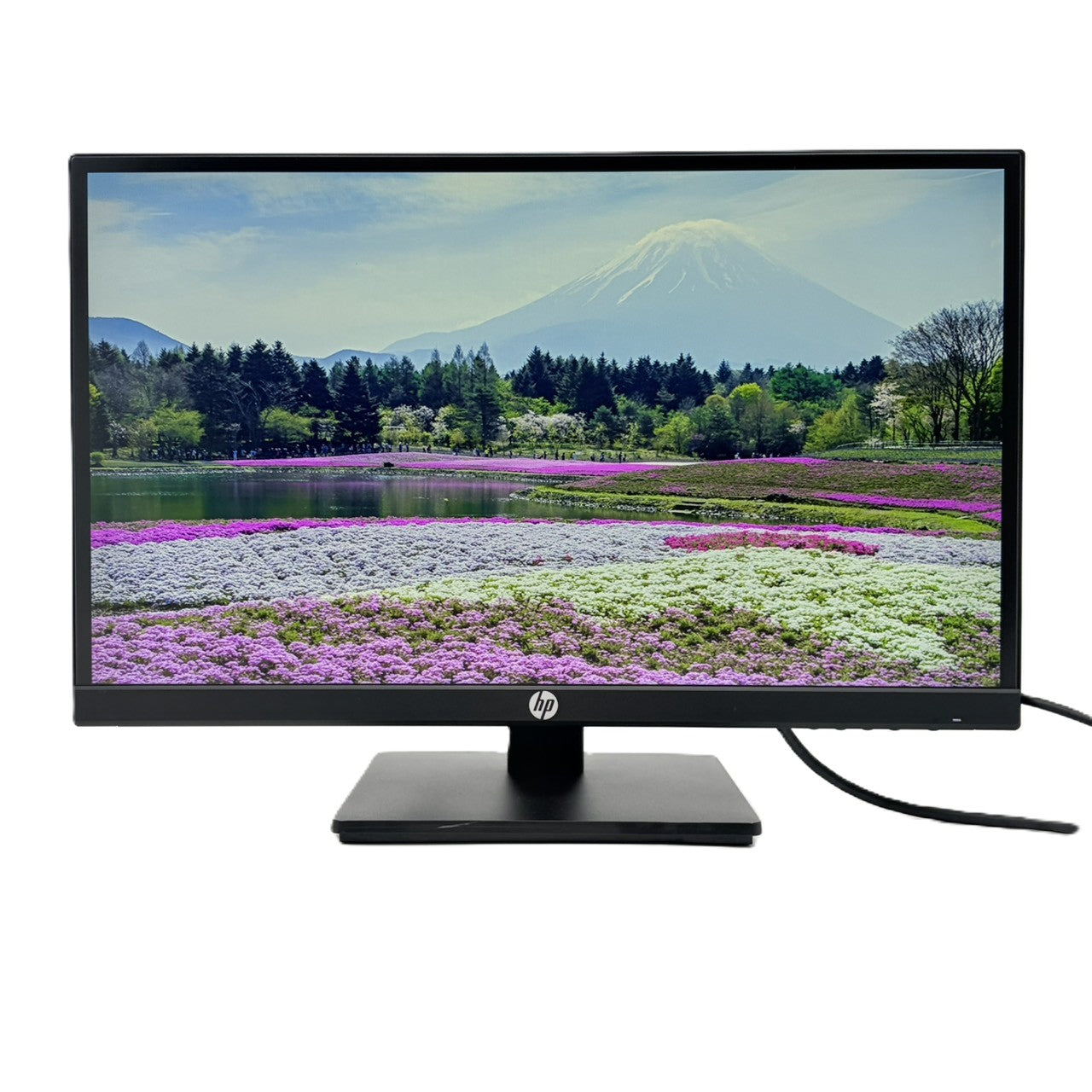 【中古モニター】21.5インチ メーカー HP 型番 P22HG4 入力端子 HDMI D-Sub  DisplayPort 解像度 1920x1080 Bランク 中古 液晶 モニター PC ディスプレイ