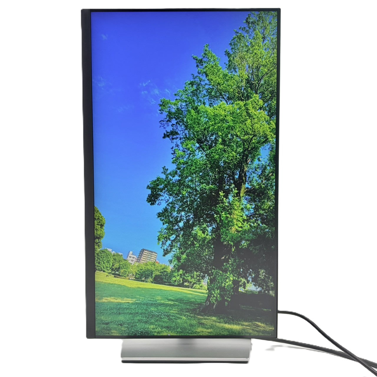 【中古モニター】23.8インチ メーカー DELL 型番 P2422H 入力端子 HDMI D-Sub DisplayPort 解像度 1920x1080 Bランク 中古 液晶 モニター PC ディスプレイ
